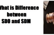 What is Difference between SDO and SDM ?